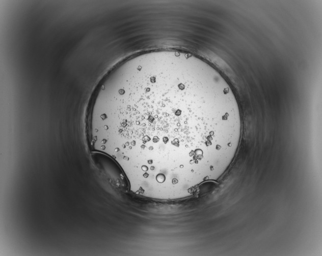 X0000089831039200707191822