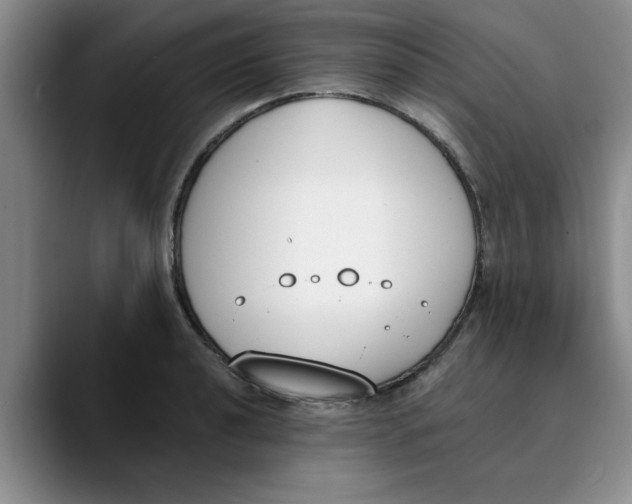 X0000089831040200707191822