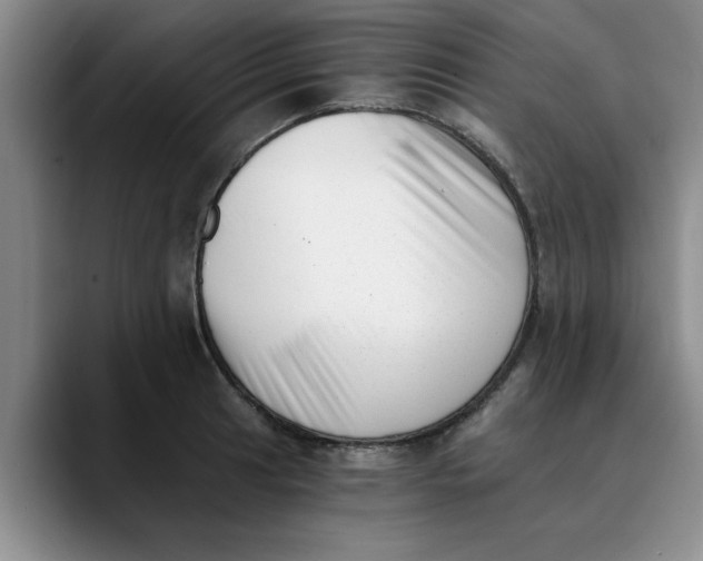 X0000089831041200707191822