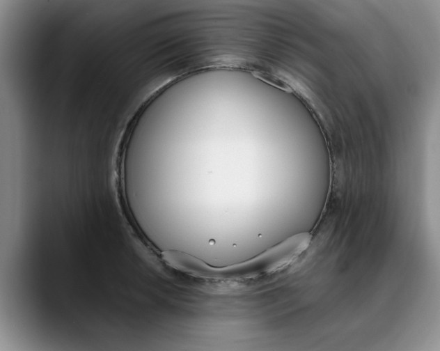 X0000089831042200707191822