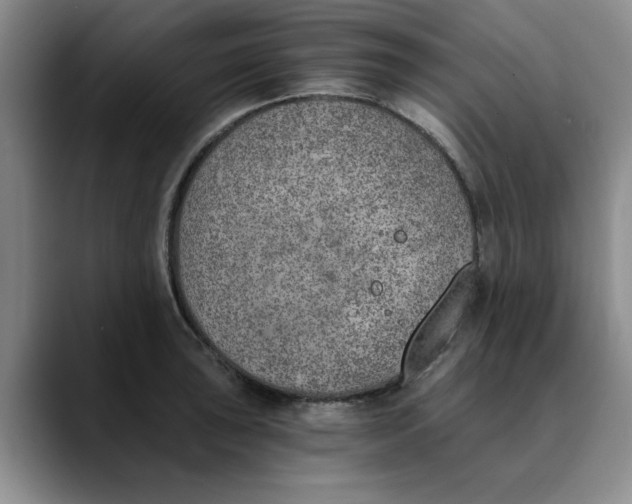 X0000089831043200707191822