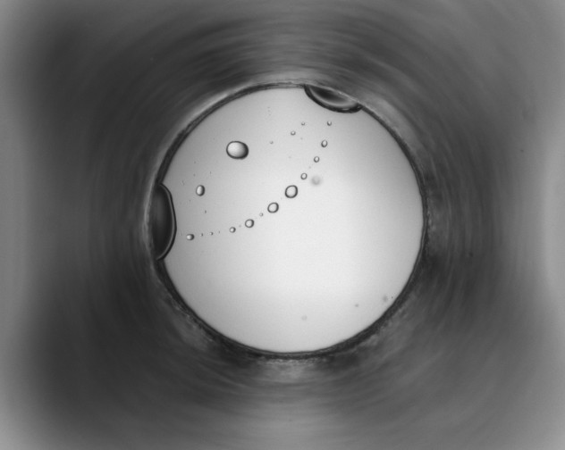 X0000089831044200707191822