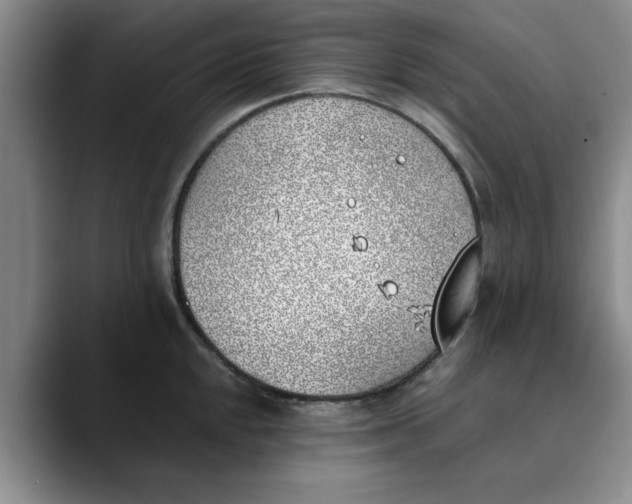 X0000089831048200707191822