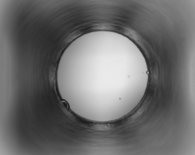 X0000089831049200707191822