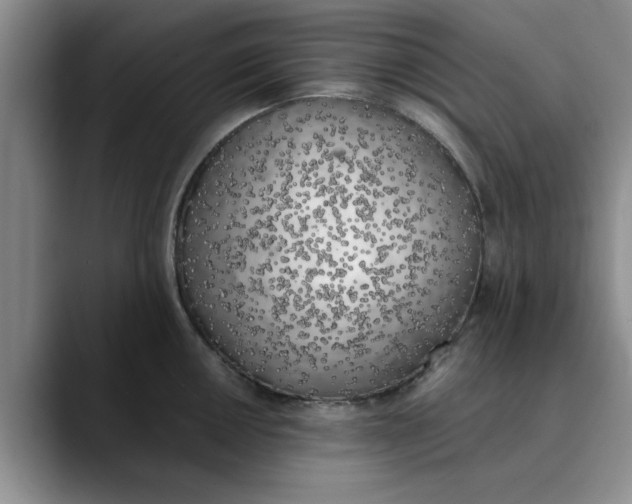 X0000089831050200707191822