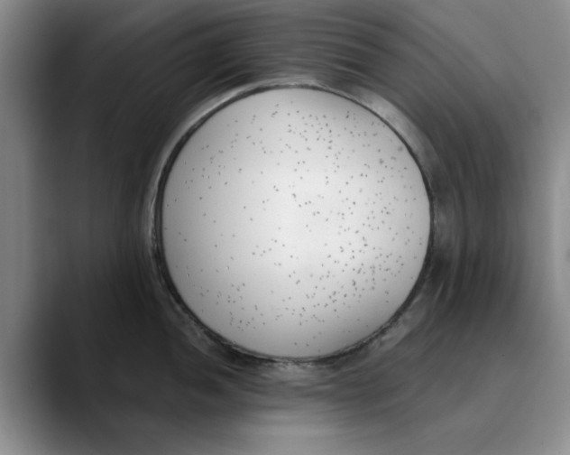 X0000089831052200707191822