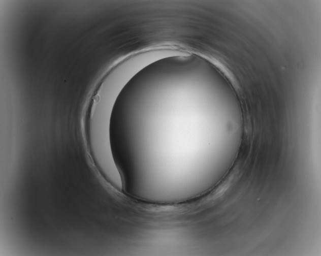 X0000089831054200707191822