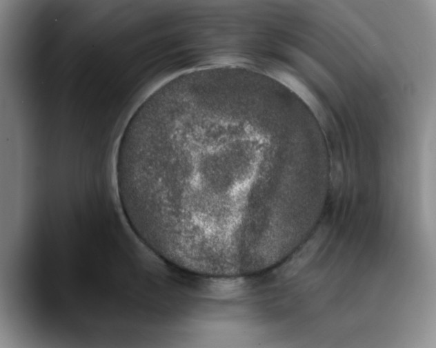 X0000089831055200707191822