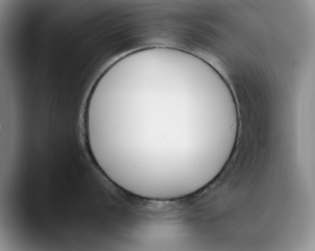 X0000089831056200707191822