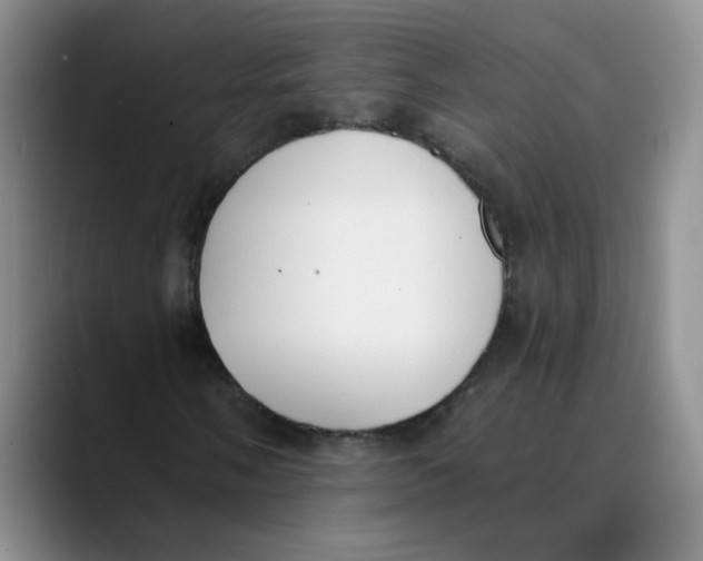 X0000089831058200707191822