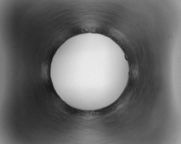 X0000089831060200707191822