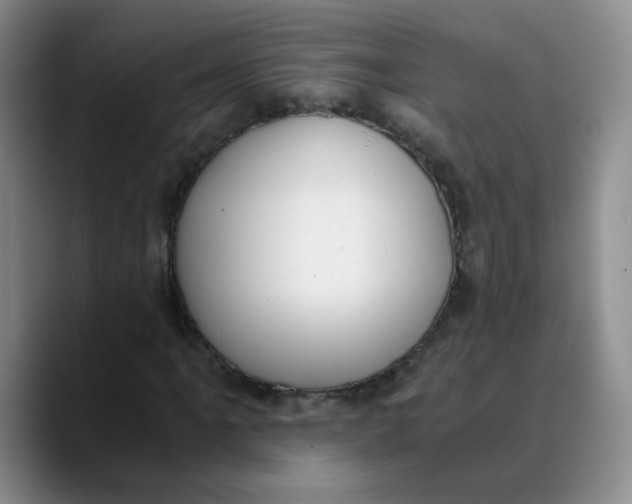 X0000089831061200707191822