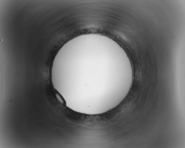 X0000089831062200707191822