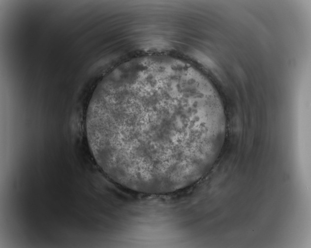 X0000089831063200707191822