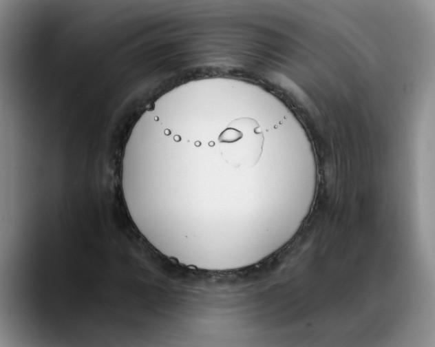 X0000089831064200707191822