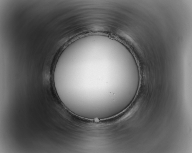 X0000089831065200707191822