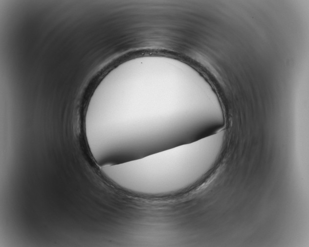 X0000089831069200707191822