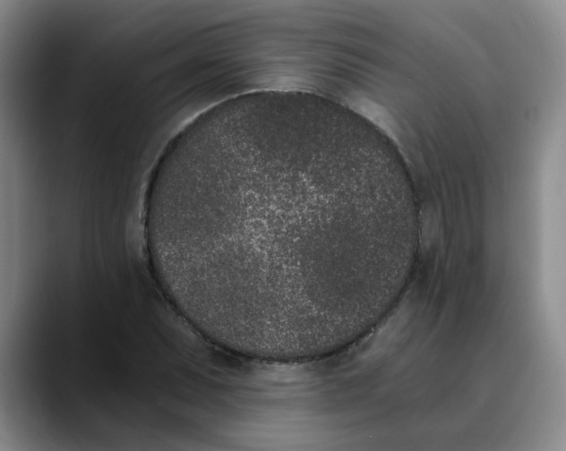 X0000089831071200707191822