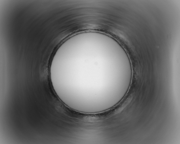 X0000089831073200707191822