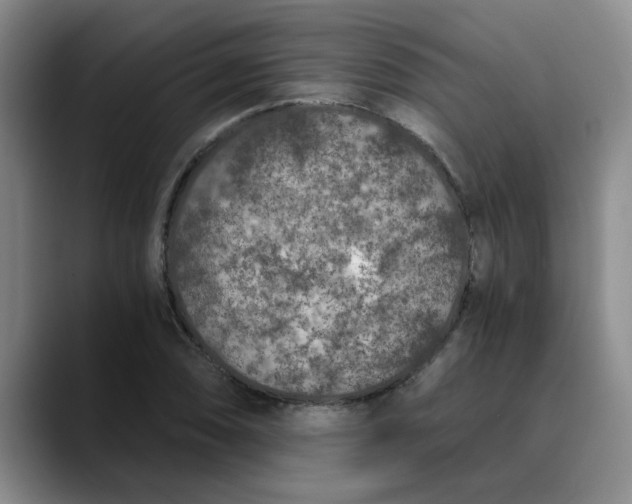 X0000089831074200707191822