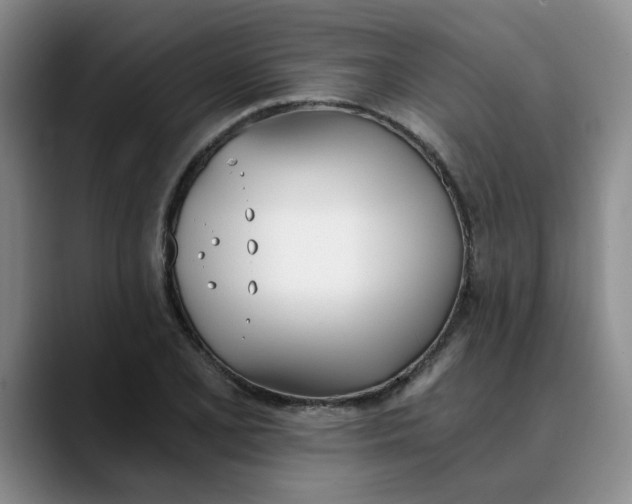 X0000089831077200707191822