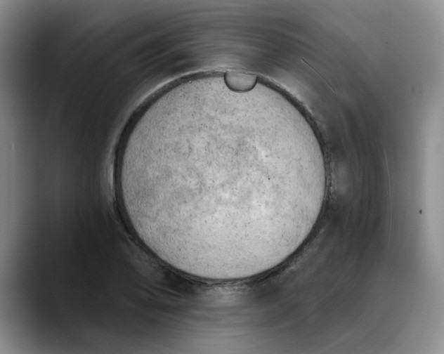 X0000089831078200707191822