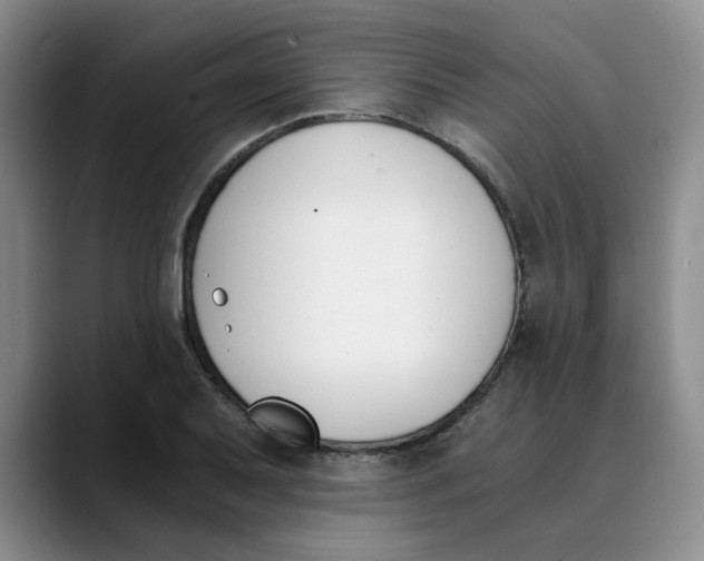 X0000089831079200707191822