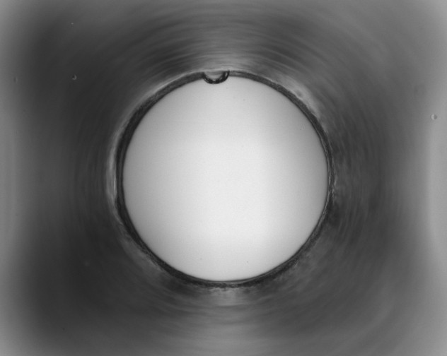 X0000089831080200707191822