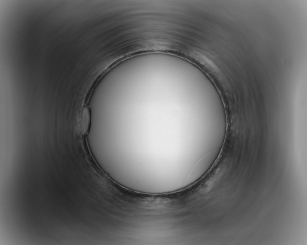 X0000089831081200707191822