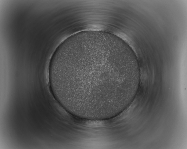 X0000089831083200707191822