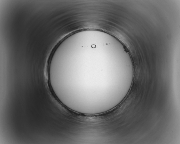 X0000089831084200707191822