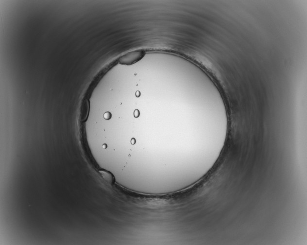 X0000089831085200707191821