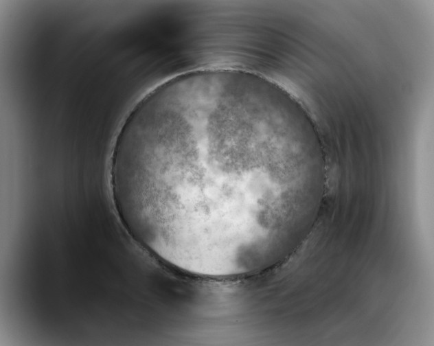 X0000089831086200707191821