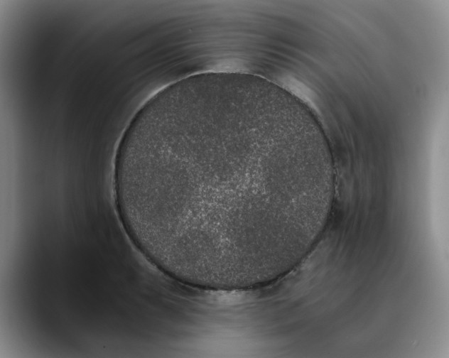 X0000089831087200707191821