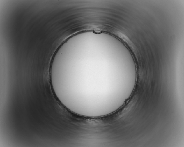 X0000089831089200707191821