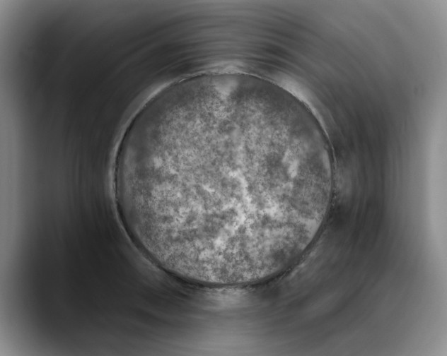 X0000089831090200707191821