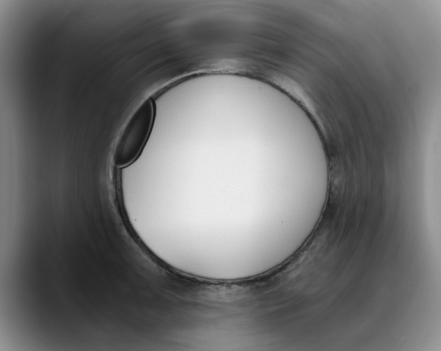 X0000089831091200707191821