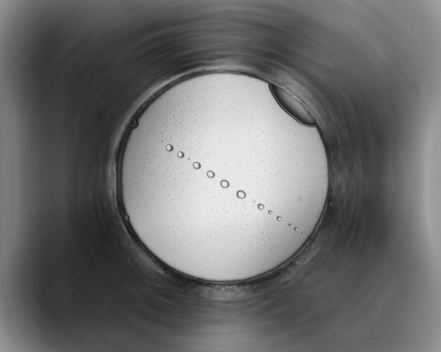 X0000089831092200707191821