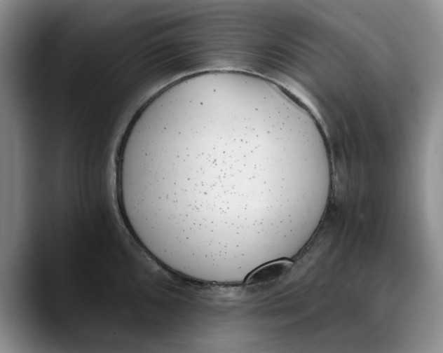 X0000089831096200707191821