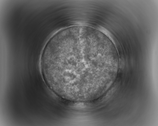 X0000089831098200707191821