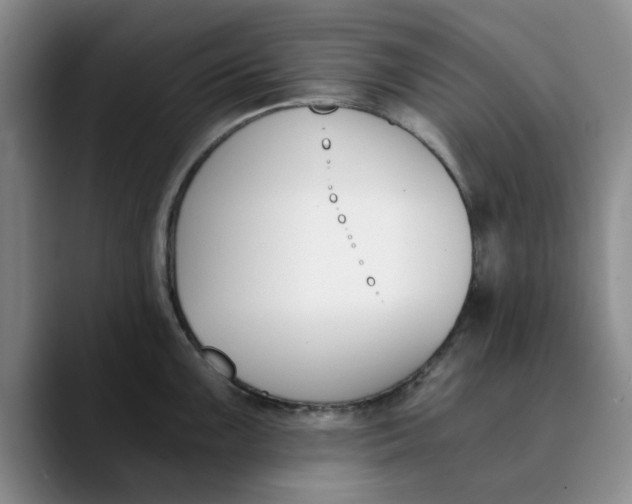 X0000089831099200707191821