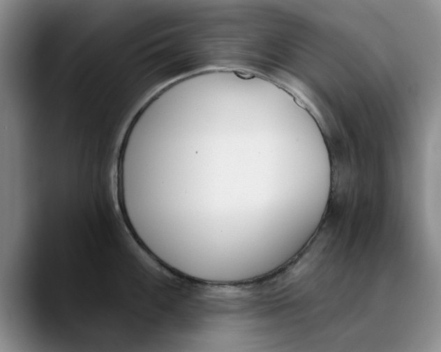 X0000089831100200707191821