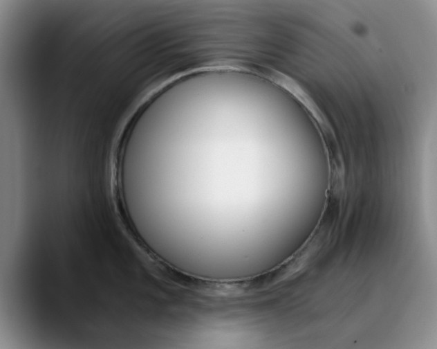 X0000089831101200707191821