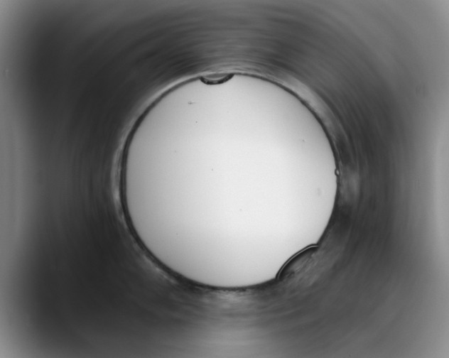 X0000089831102200707191821