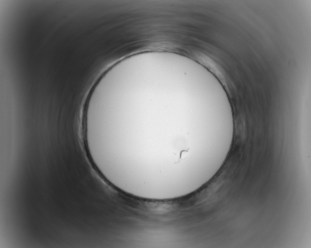 X0000089831103200707191821