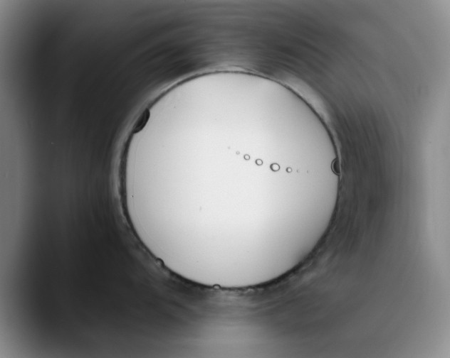 X0000089831104200707191821