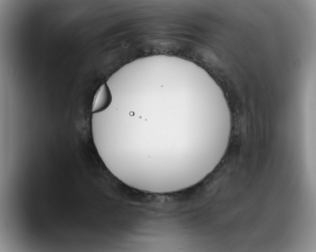 X0000089831109200707191821