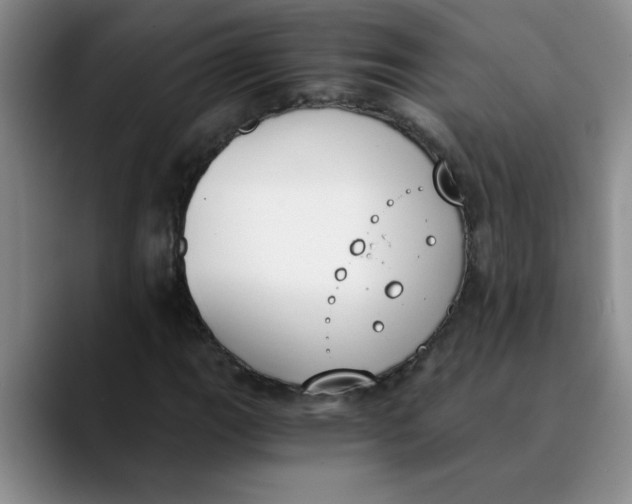 X0000089831111200707191821