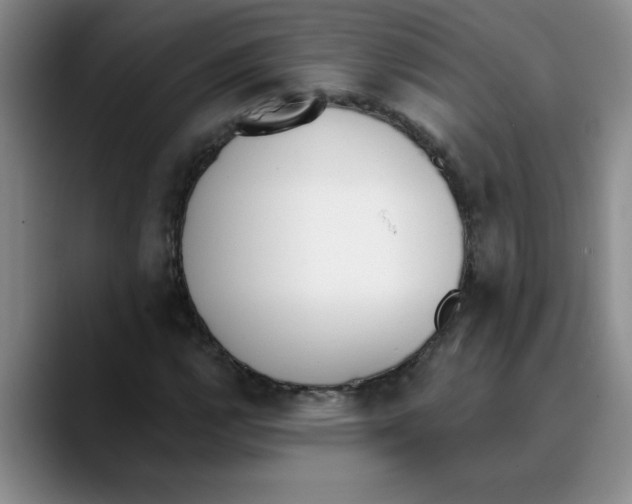 X0000089831112200707191821