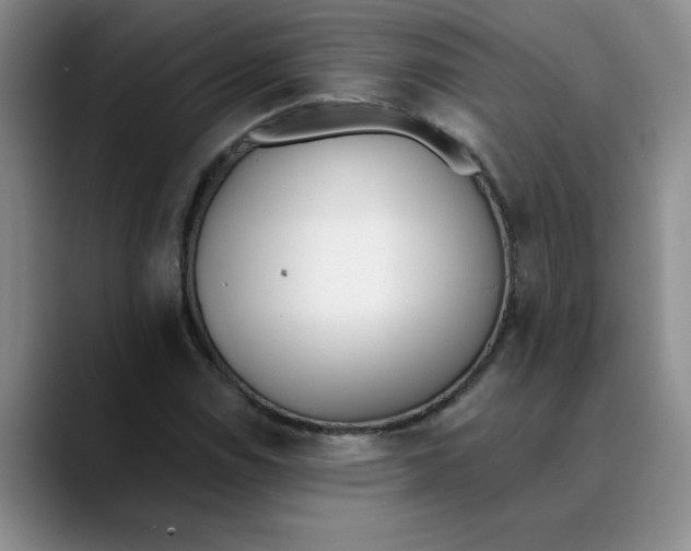 X0000089831114200707191821